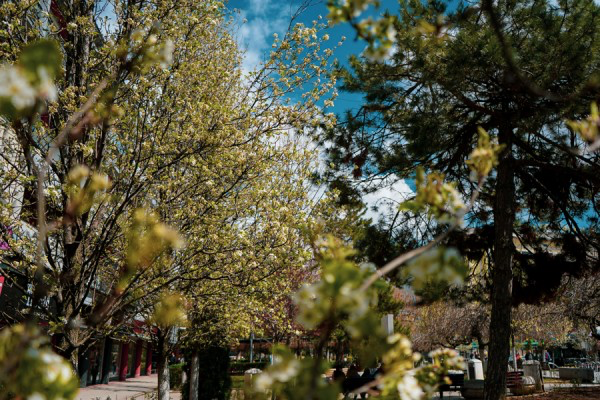 EF4F5643-2B35-4774-9B67-89213529C1F0